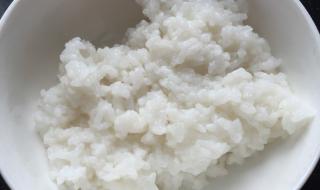 寿司香米可以做米饭吗